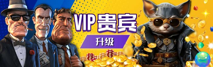 升级 VIP 贵宾等级以获得更多优惠。